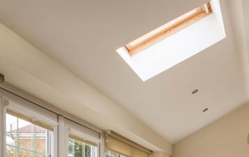 Ruan Minor conservatory roof insulation companies