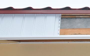 Ruan Minor fascia repair costs