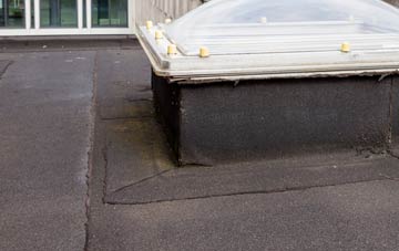 disadvantages of Ruan Minor flat roofs