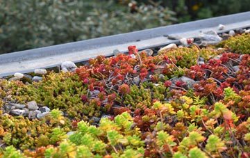 the cost of Ruan Minor green roof installation