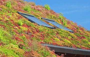 Ruan Minor living roof systems