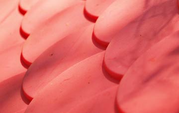 Ruan Minor plastic roof costs