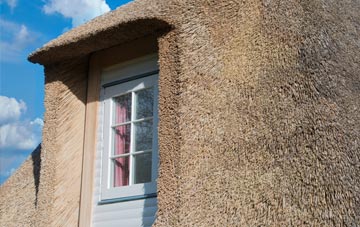 Ruan Minor thatch roof disadvantages