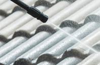 rated Ruan Minor roof cleaning companies