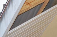 rated Ruan Minor soffit repair companies
